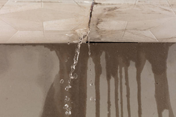 Professional Water Extraction technician working in McHenry, IL